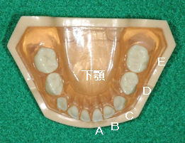 �����̒����ɂ��i�v���̎����тւ̉e��